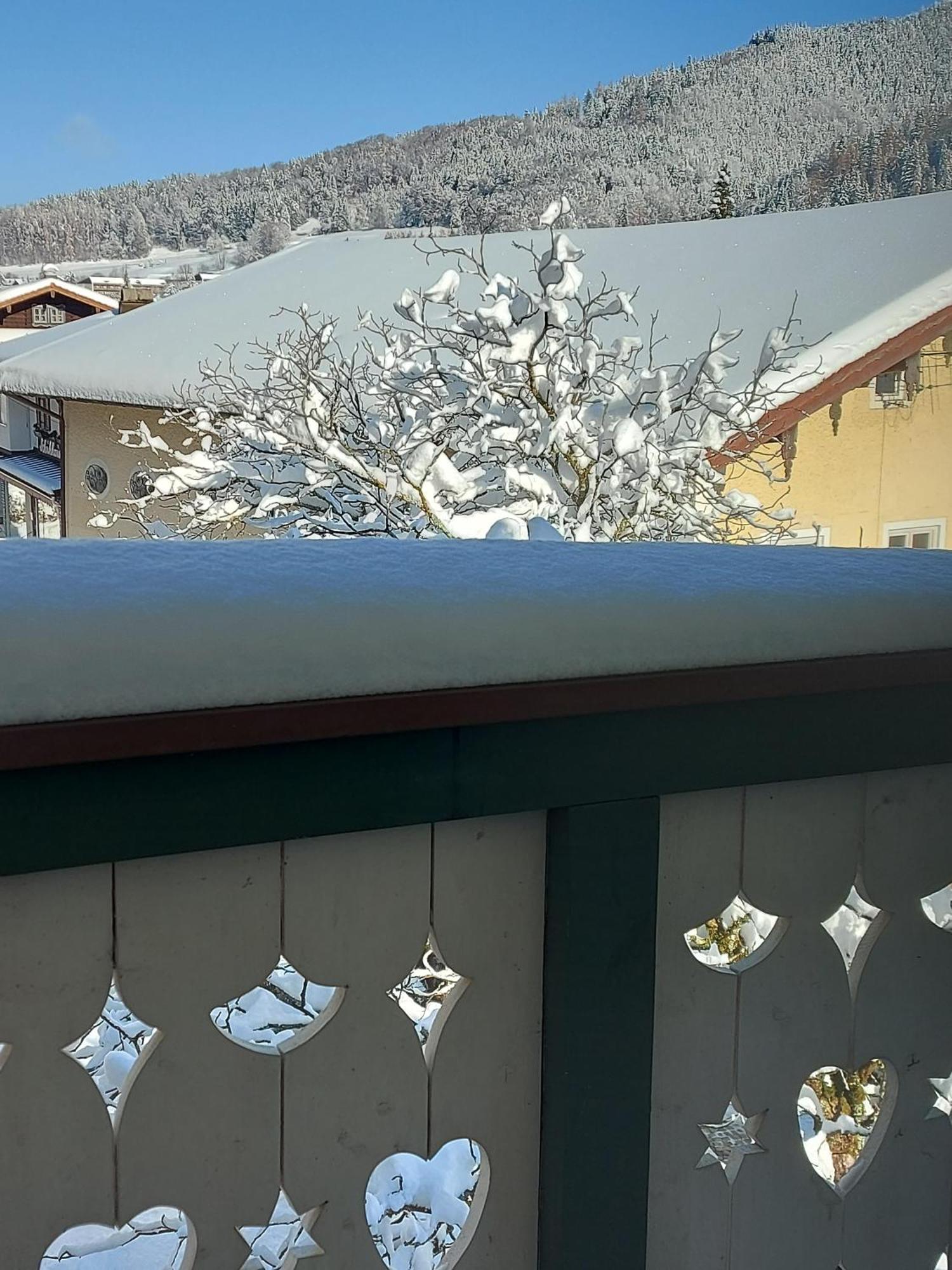 Ferienwohnungen Schneiderhaeusl Inkl. Chiemgaukarte Ruhpolding Exterior foto